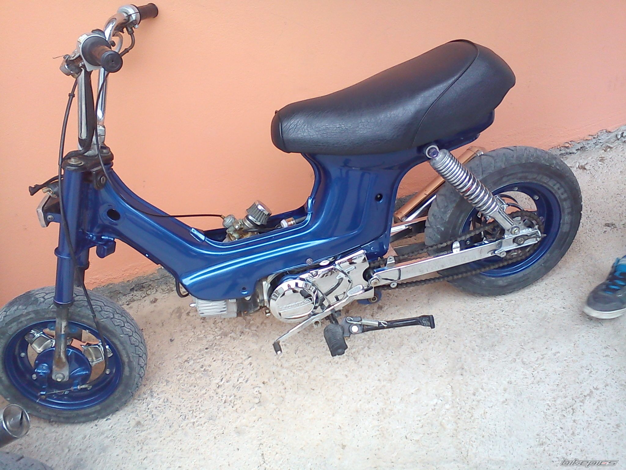 Photo 2411274