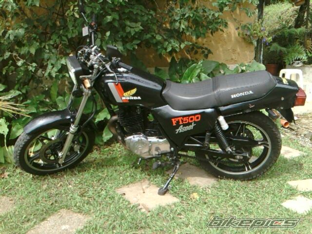 Bike Photo 2411297
