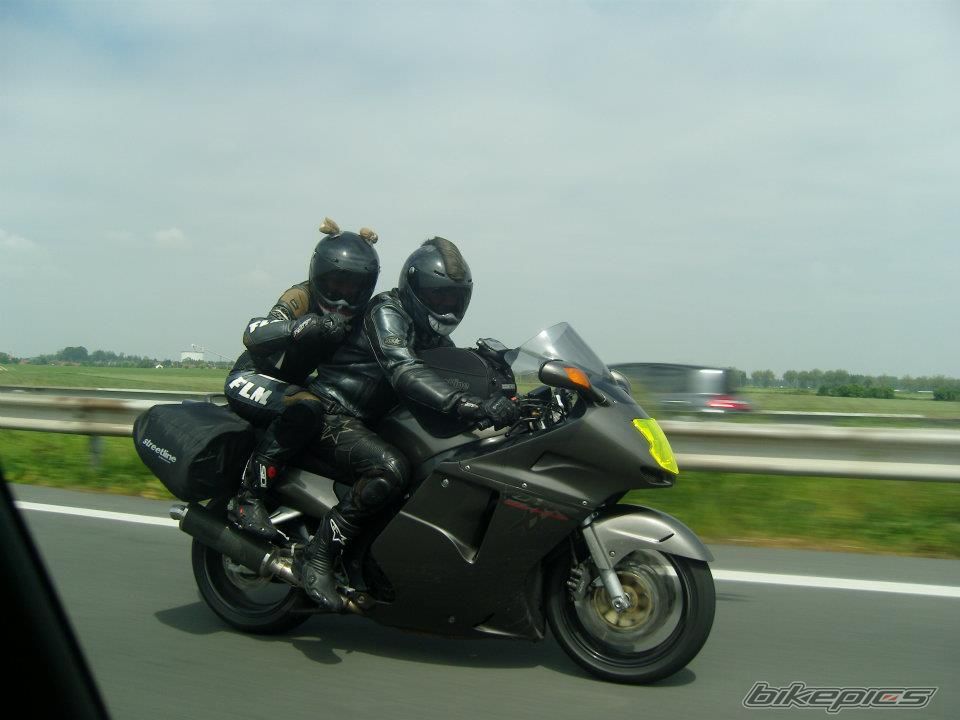 Photo 2411339