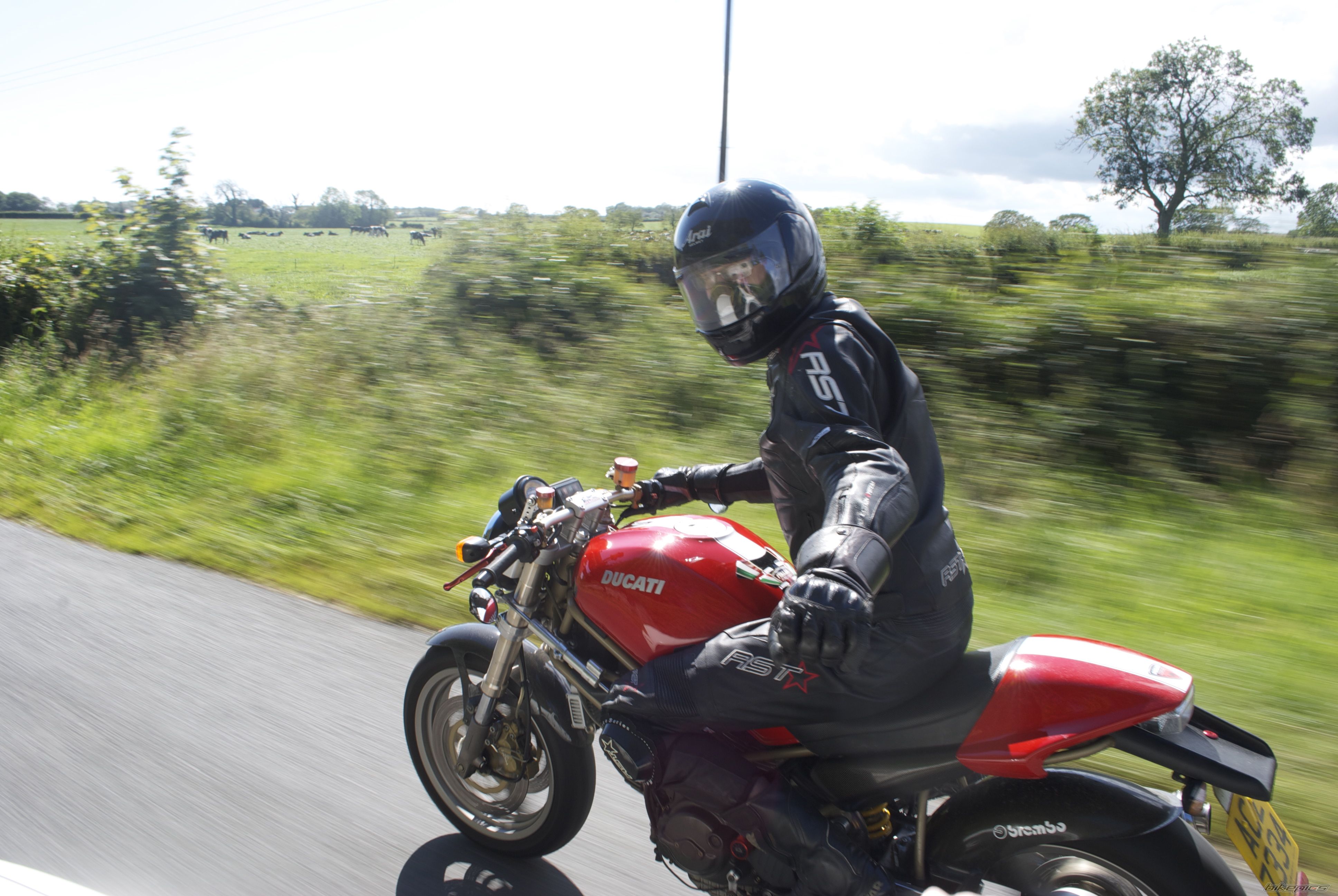Photo 2411623