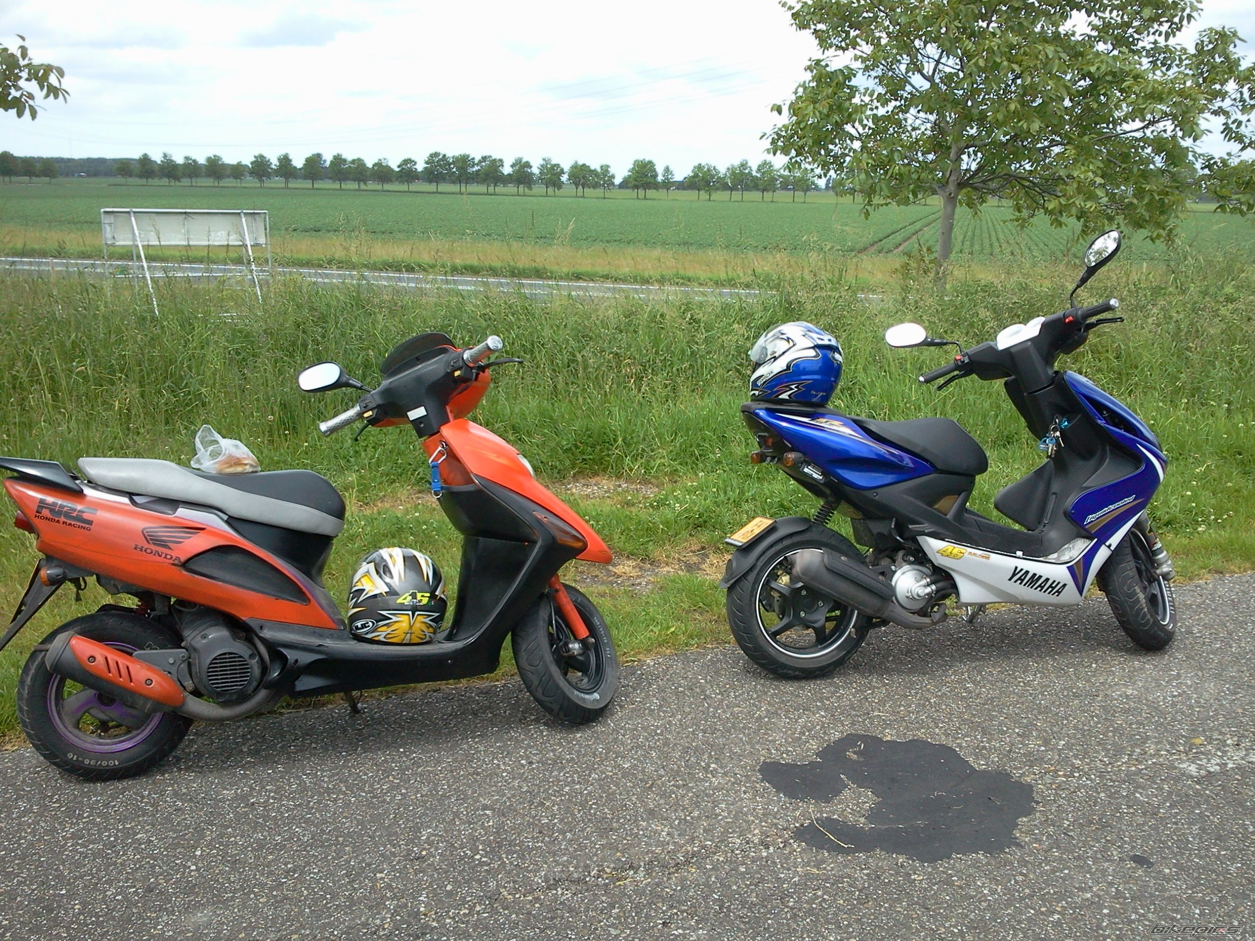 Photo 2411681