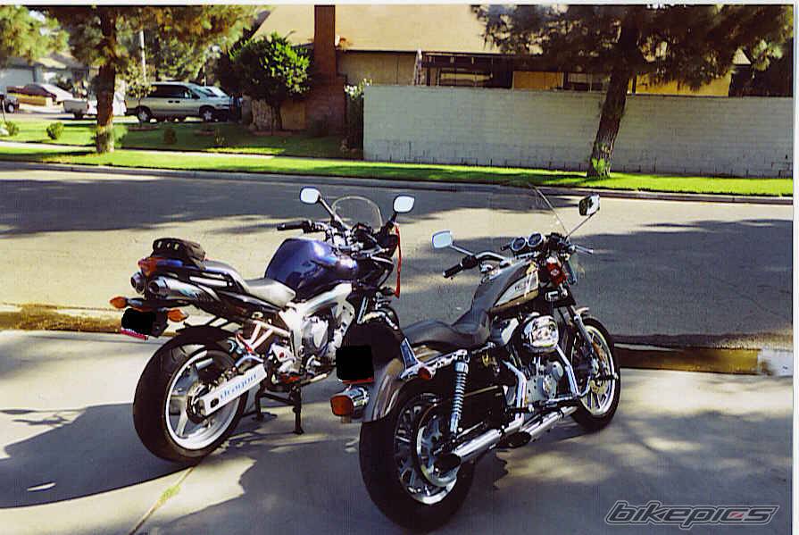 Photo 241174