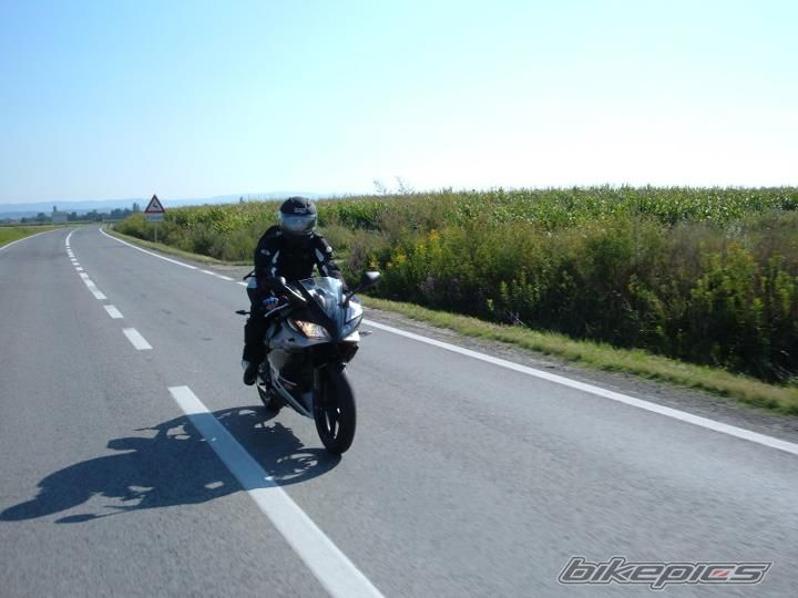 Photo 2411913