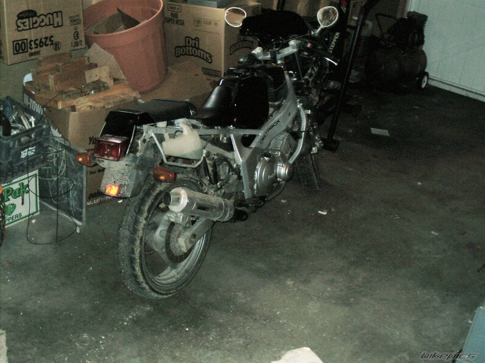 Photo 241192