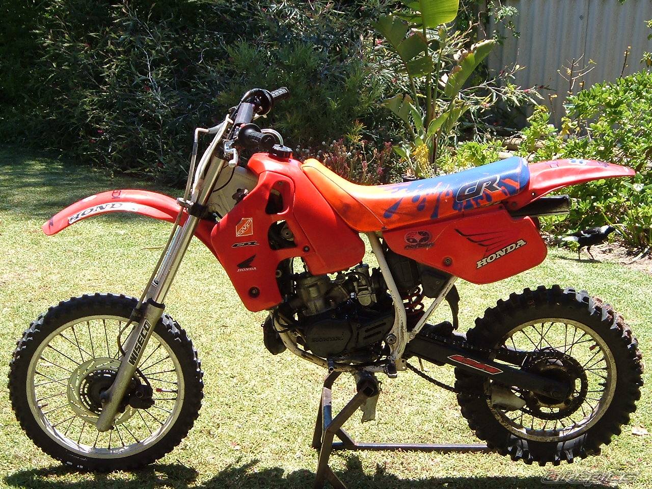 Bike Photo 241206