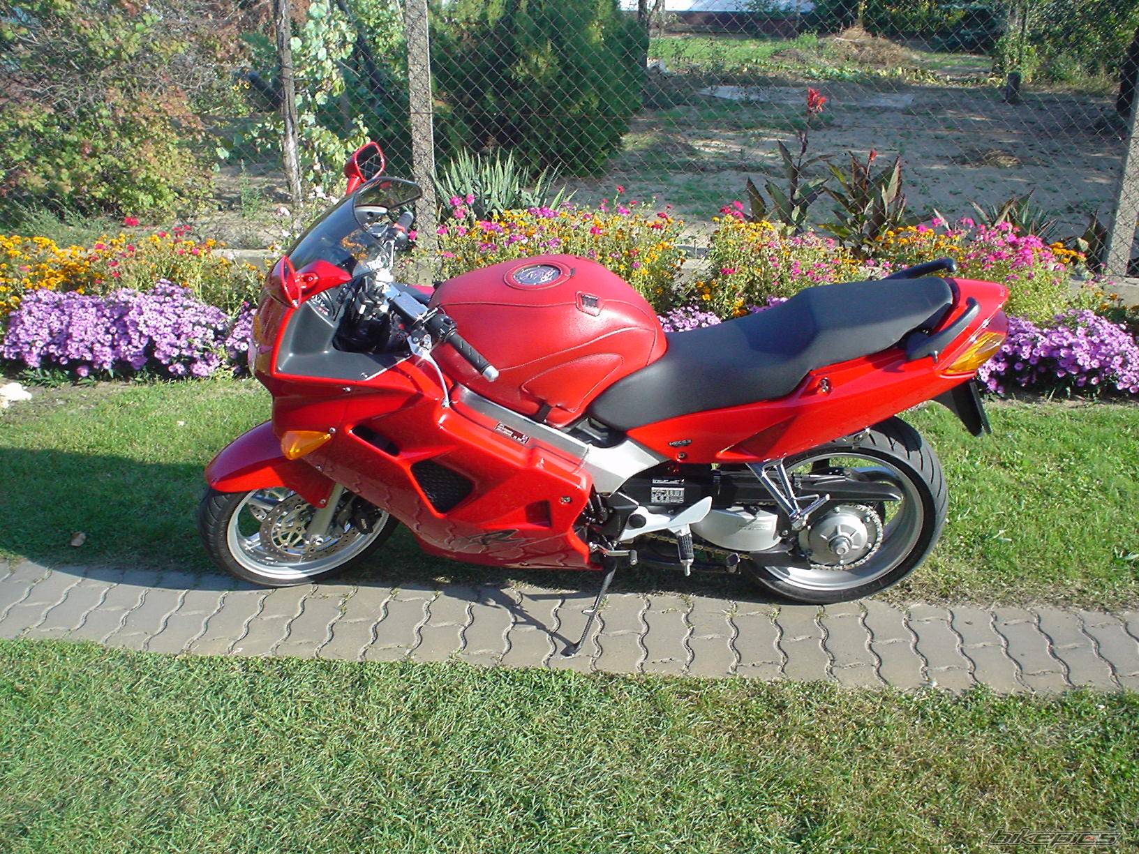 Photo 241214