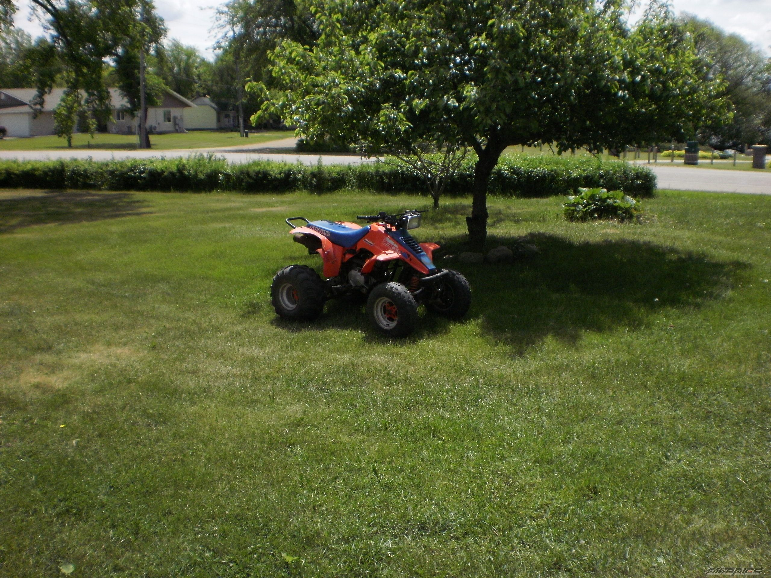 Photo 2412206