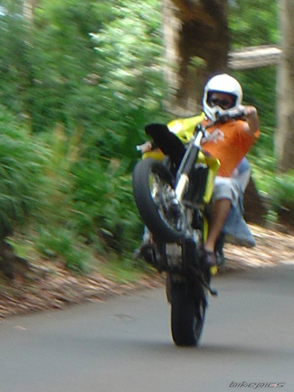 Bike Photo 241221