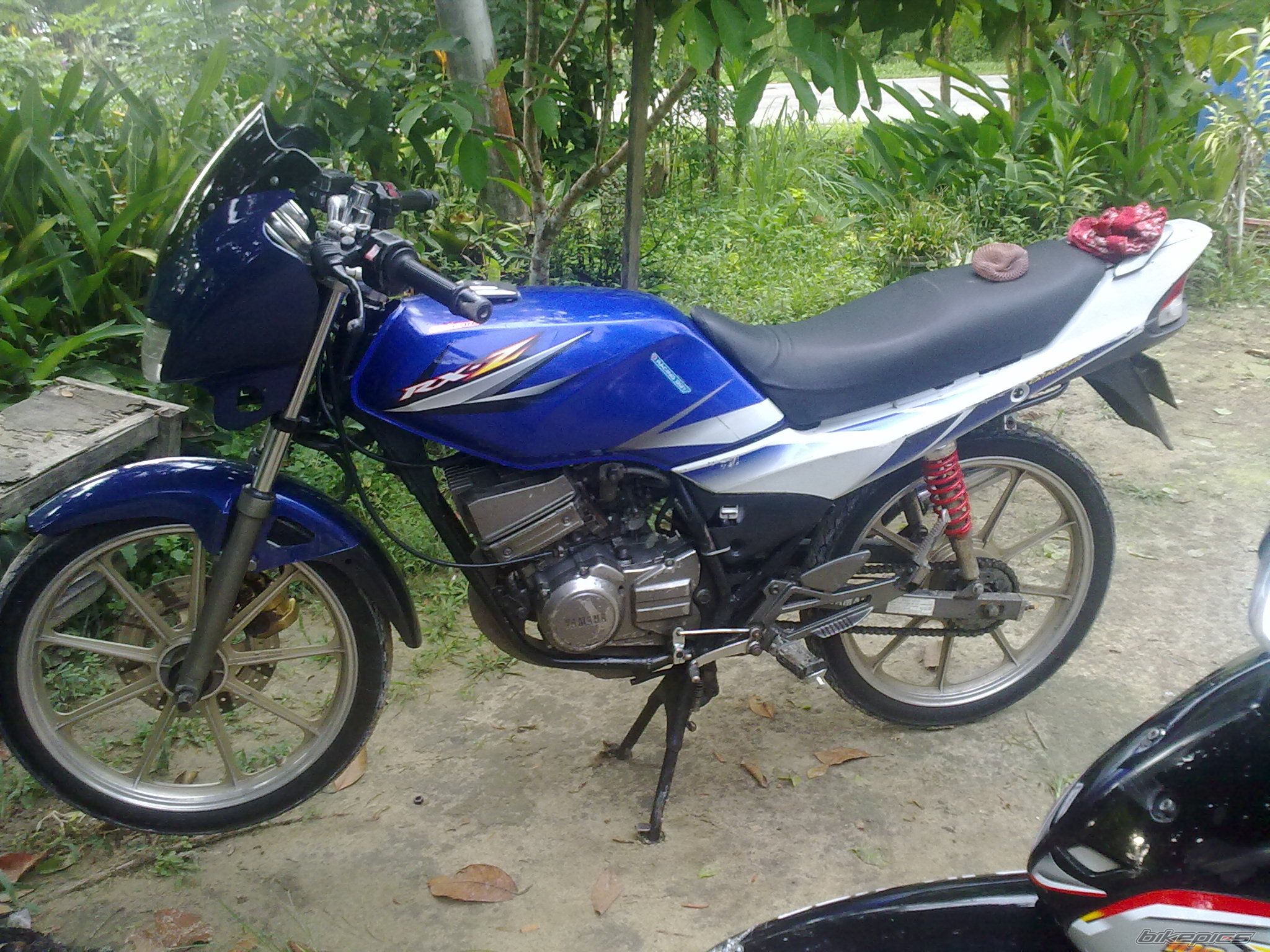 Photo 2412335