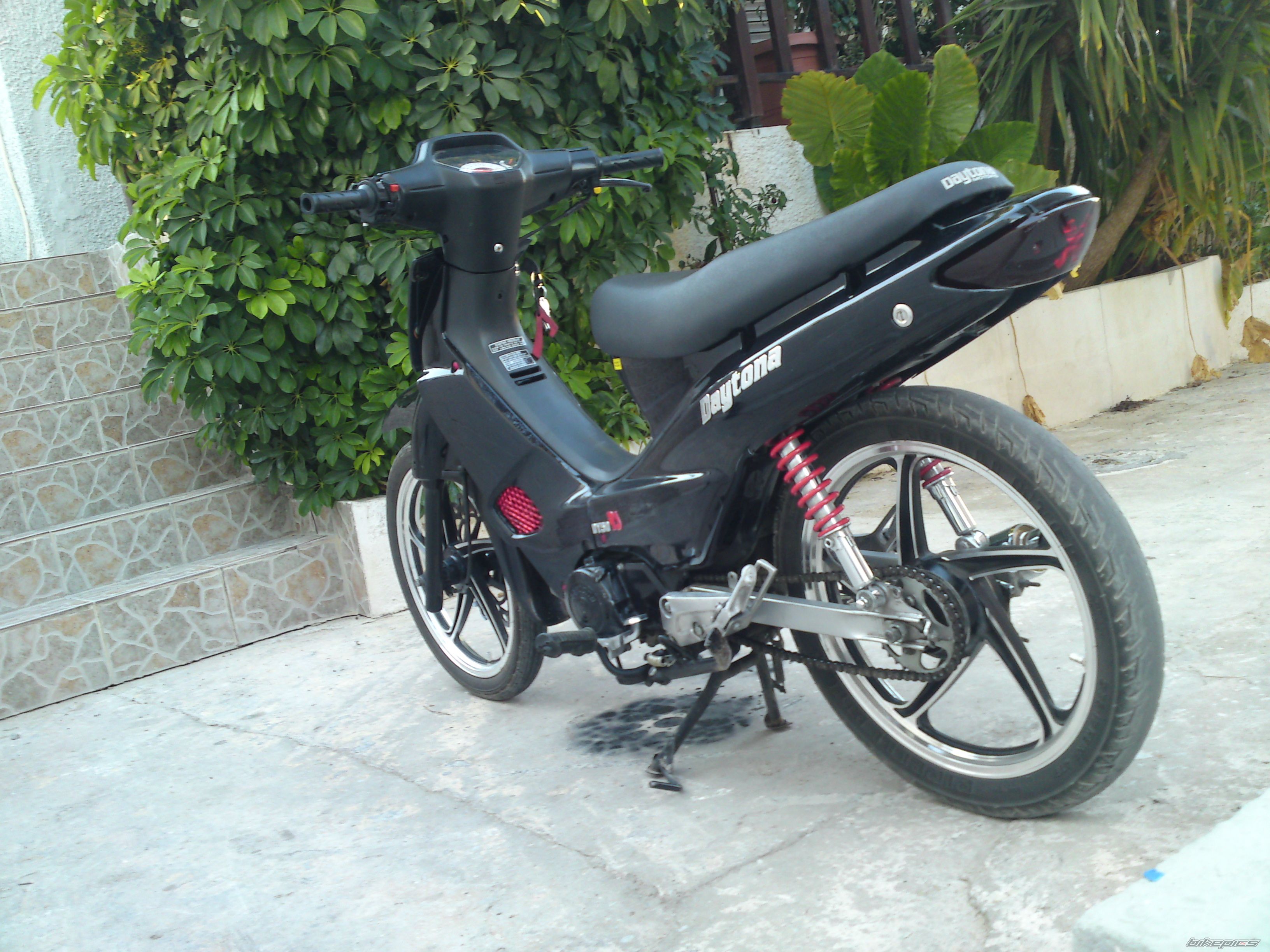 Photo 2412388