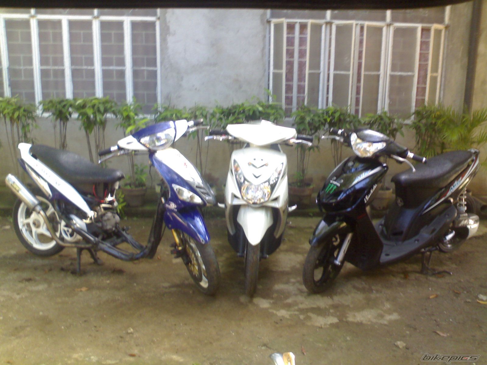 Photo 2412397