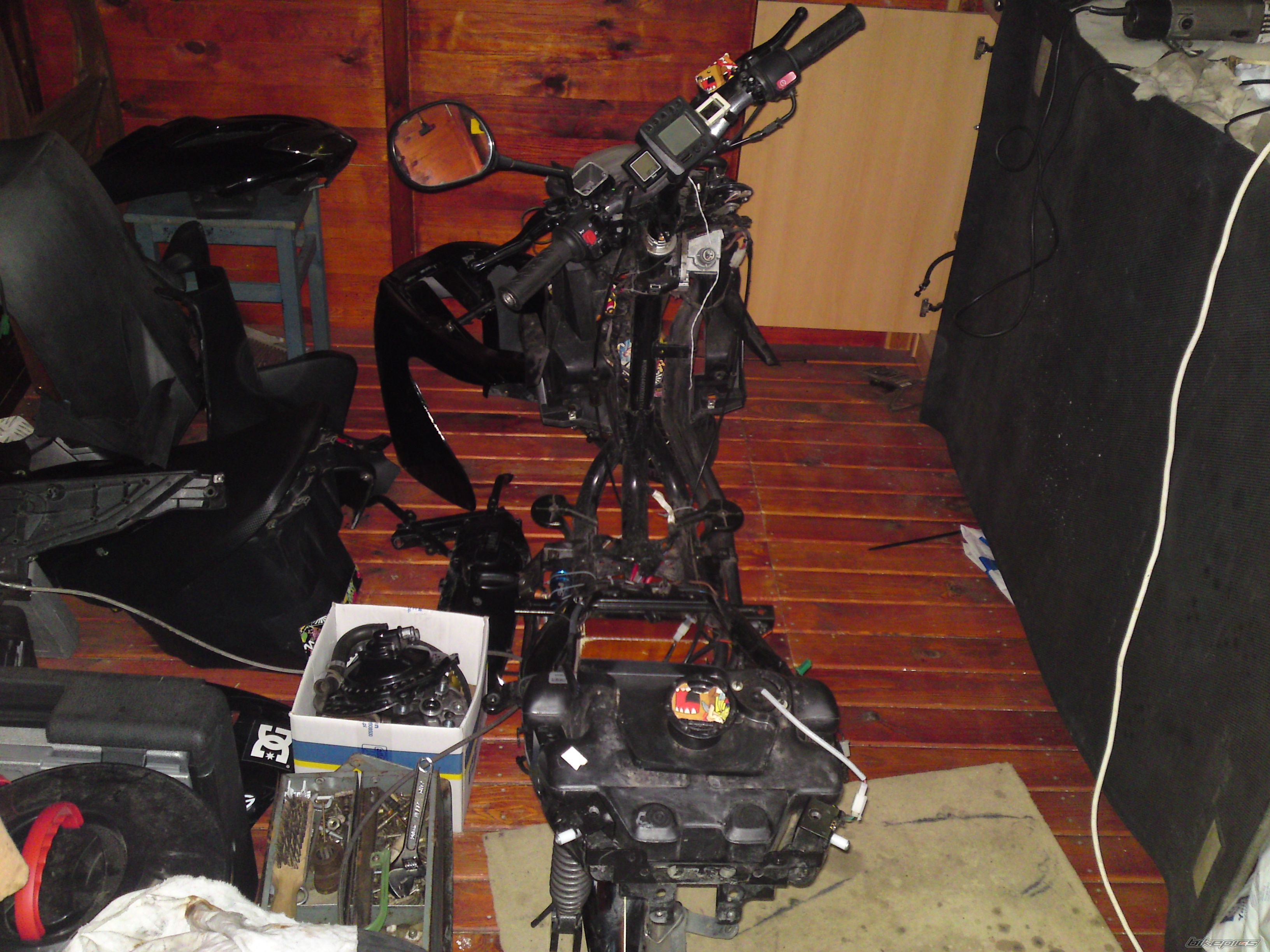 Photo 2412466