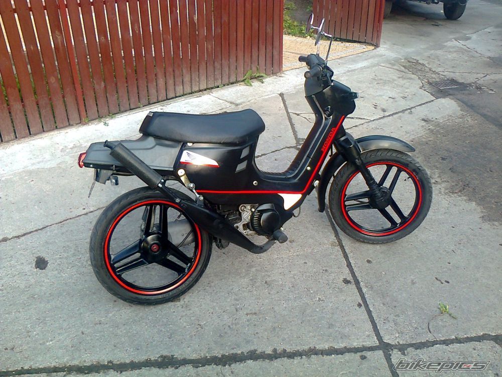 Photo 2412489