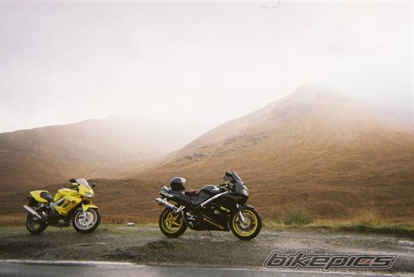 Photo 241262