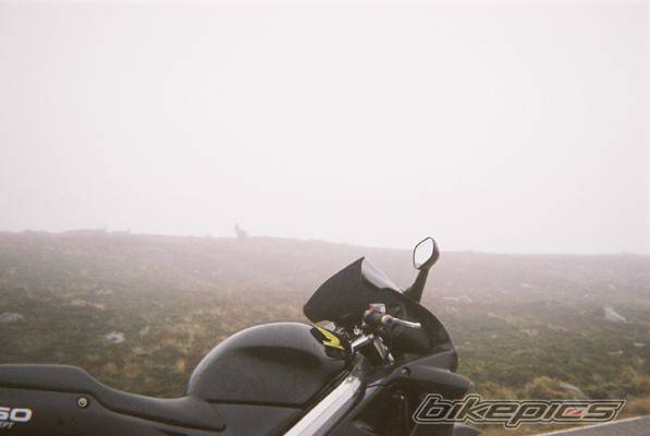 Photo 241267