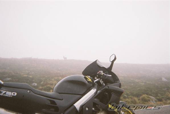 Photo 241268