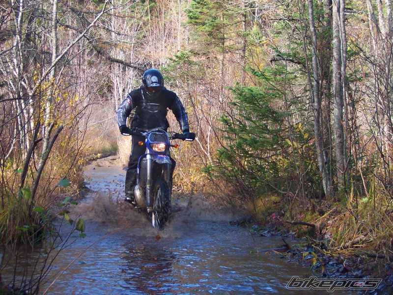 Bike Photo 241278
