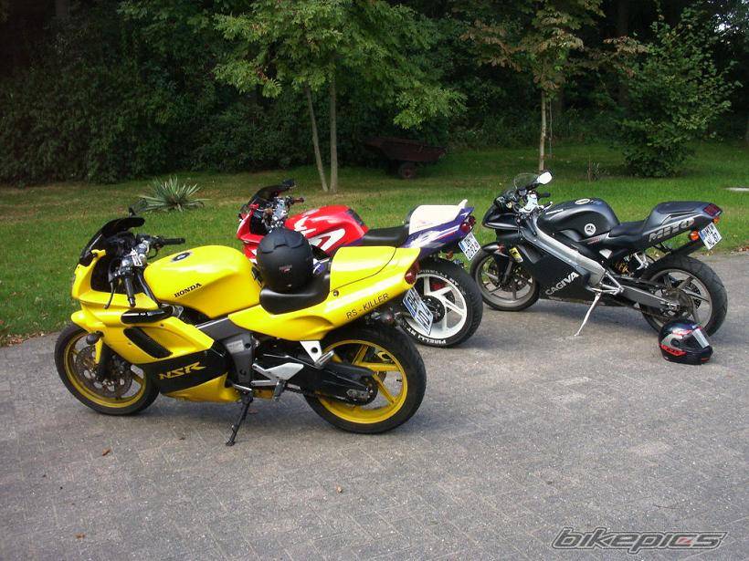 Photo 241279