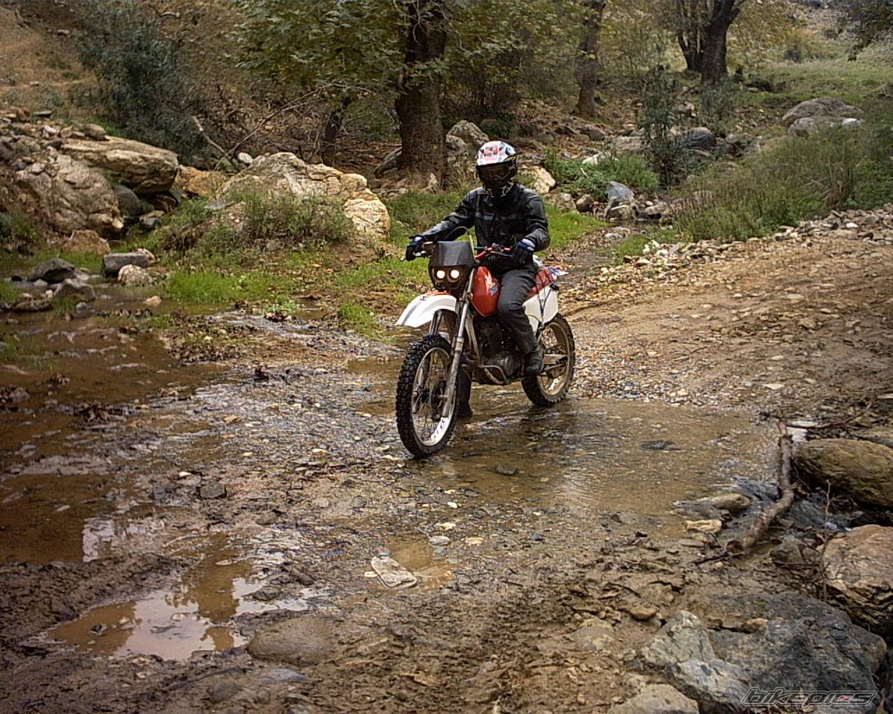 Bike Photo 241280