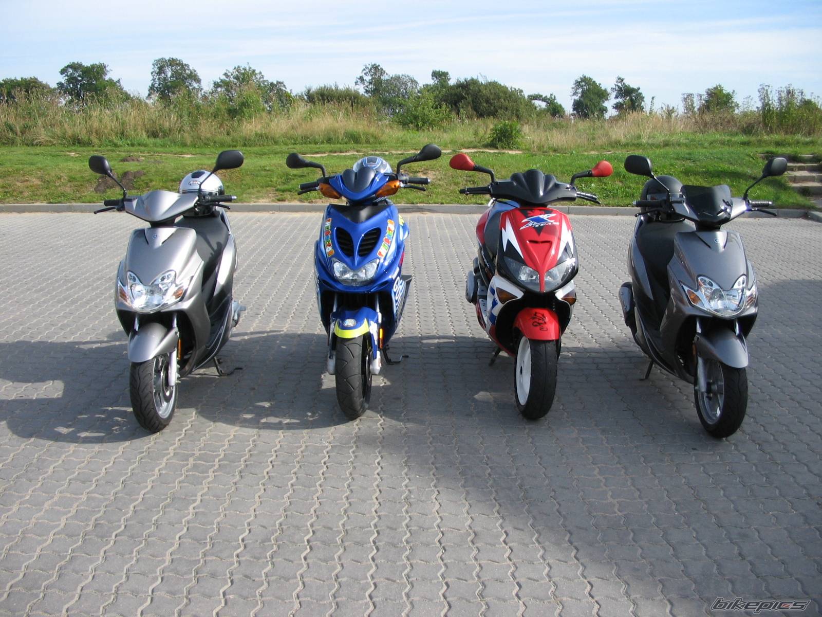 Photo 241291