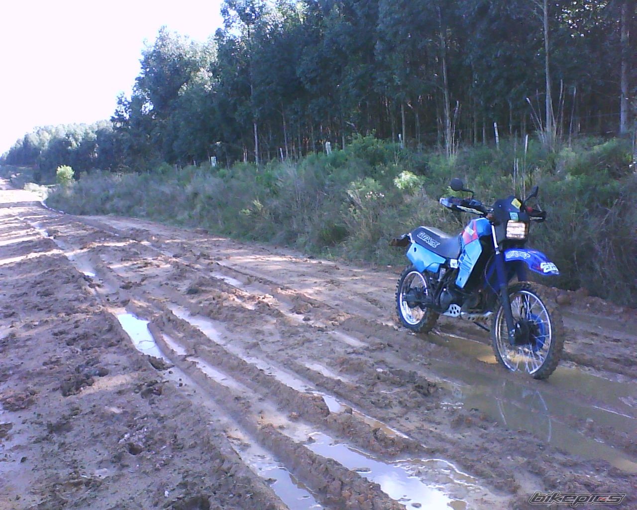 Bike Photo 2412922