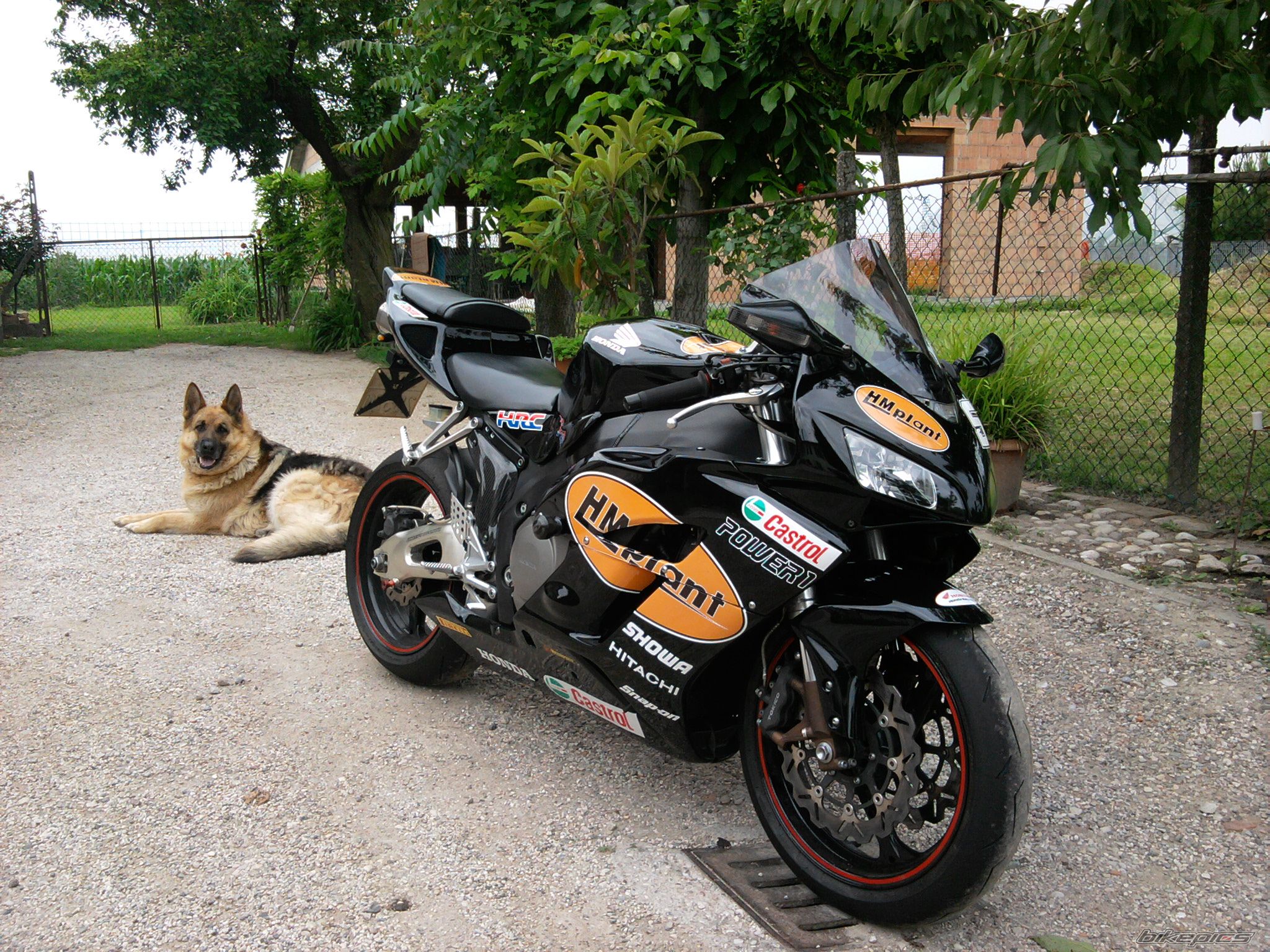 Bike Photo 2412961