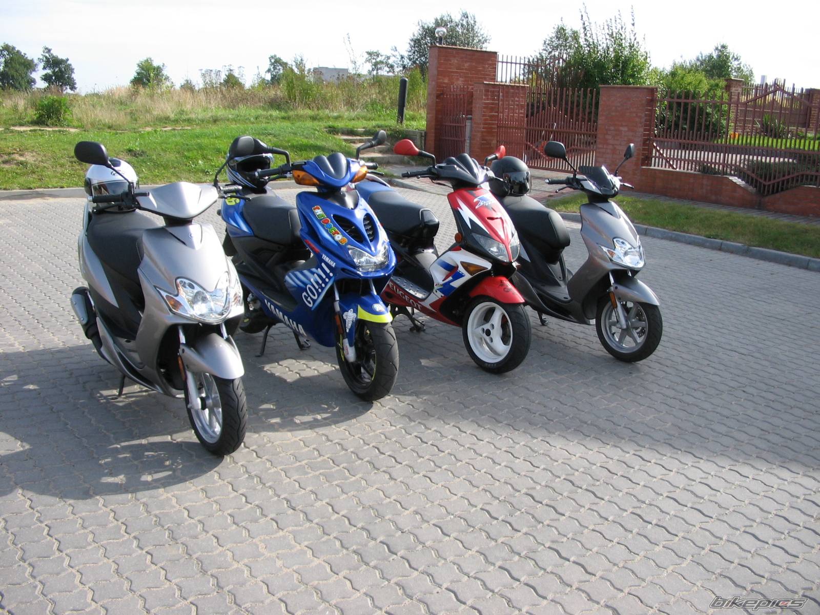 Photo 241297