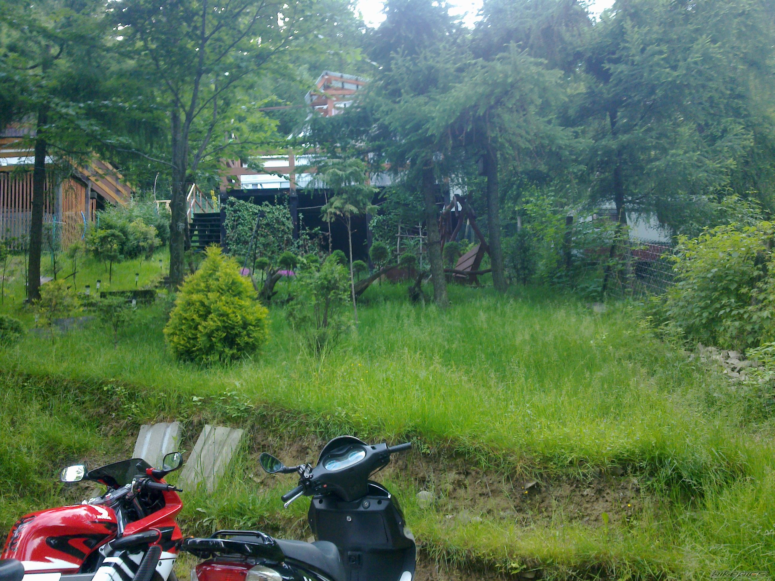 Photo 2413076