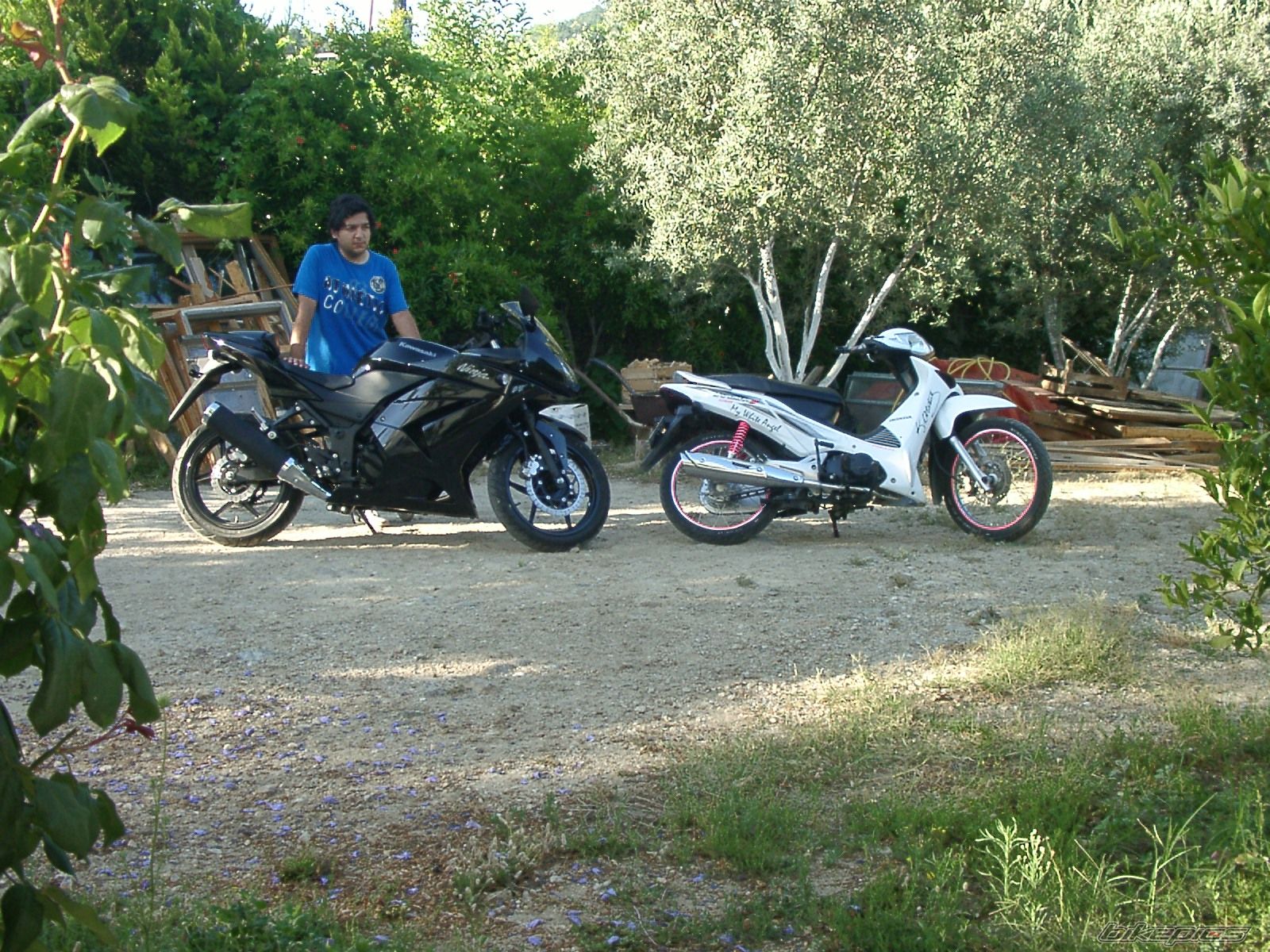 Photo 2413309