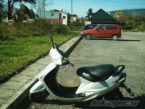 Photo 241332