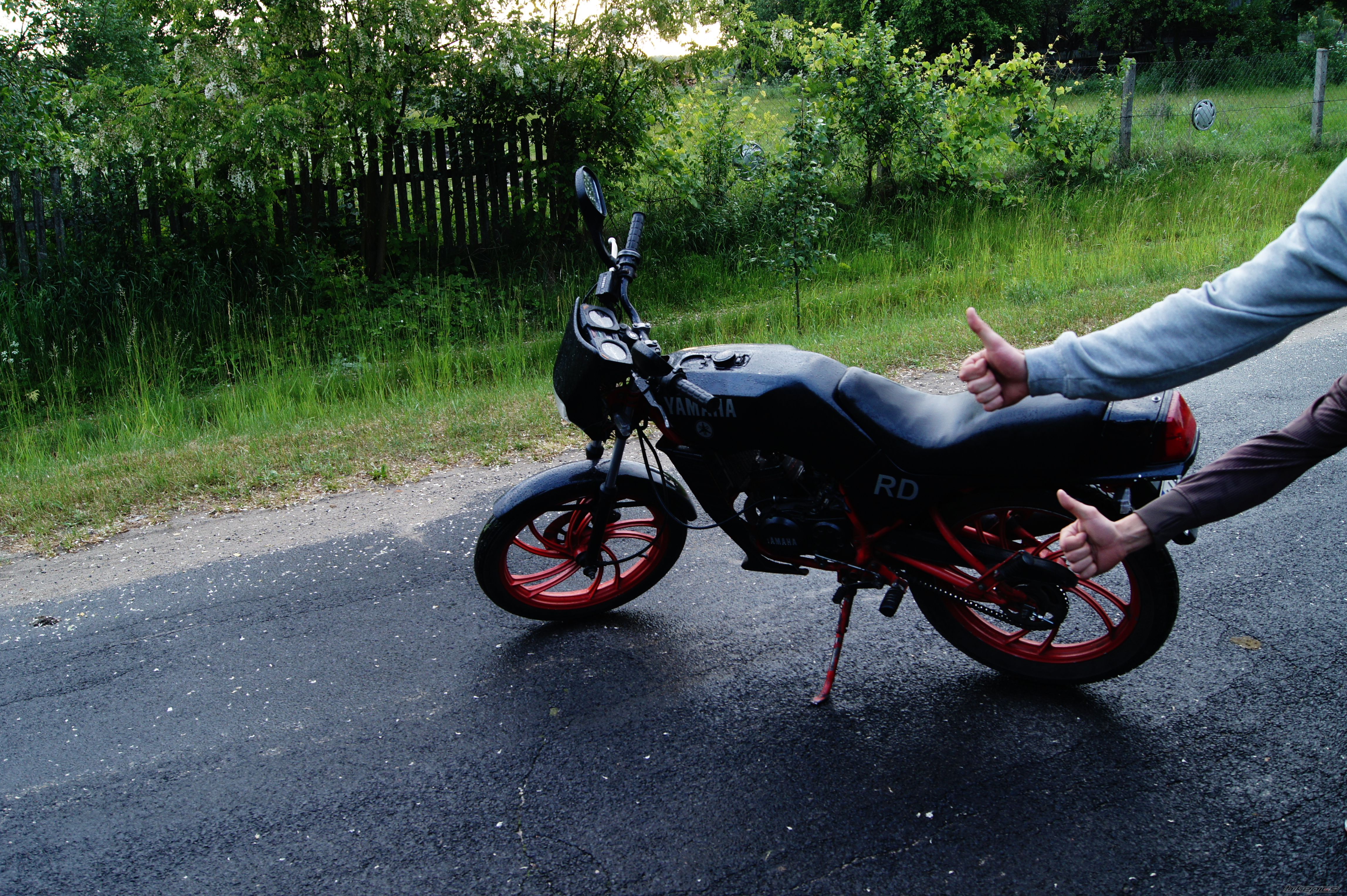 Photo 2413469