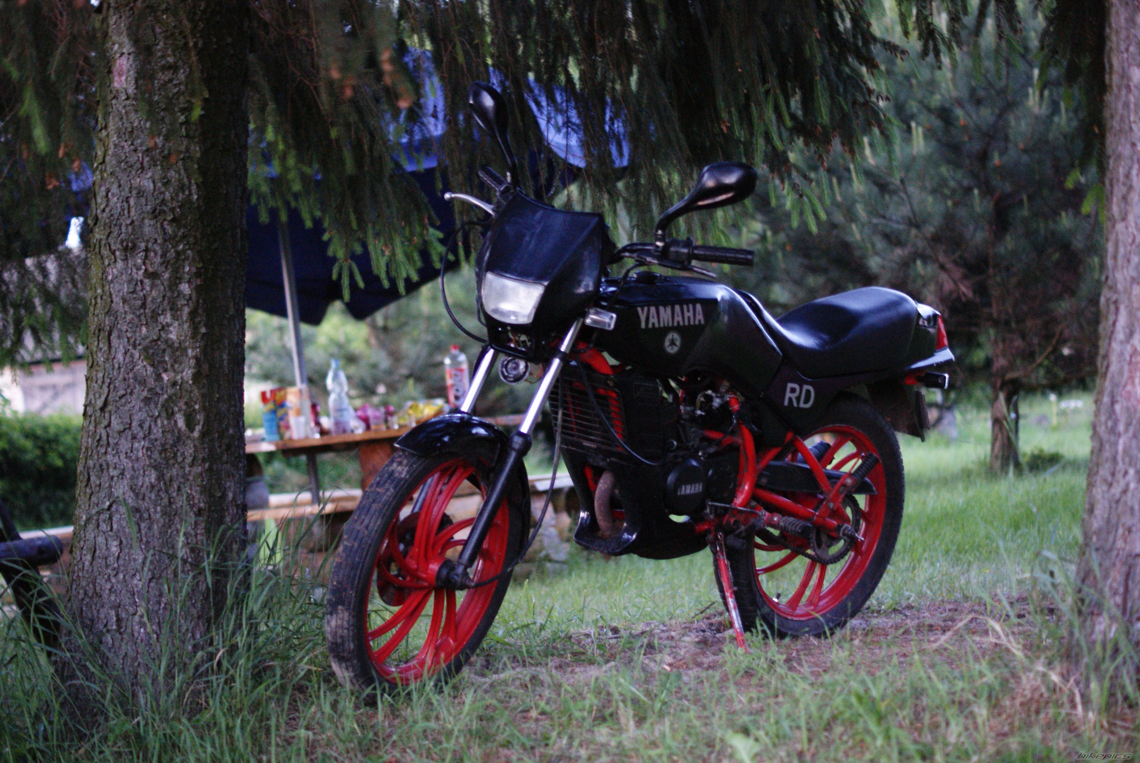 Photo 2413472