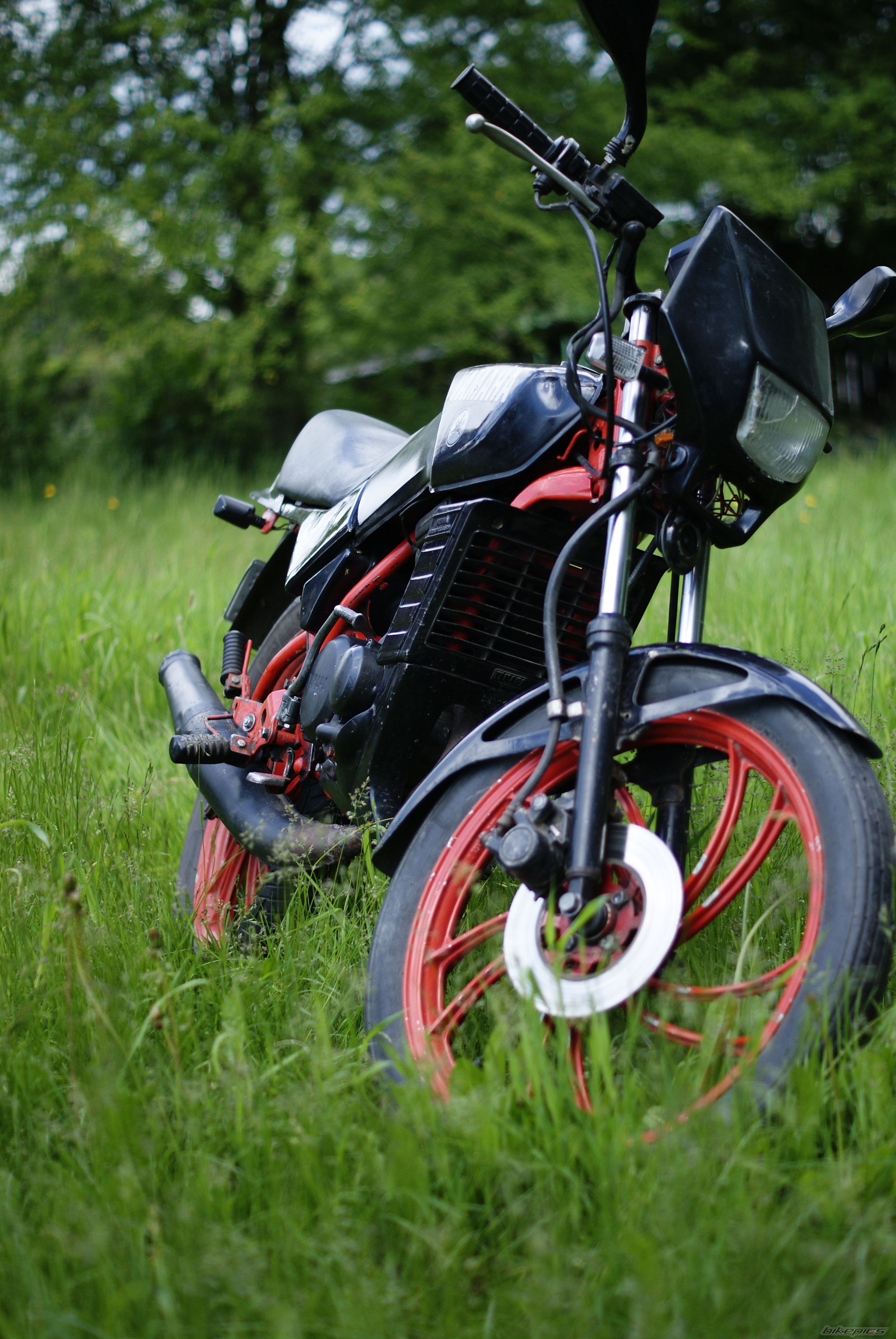 Bike Photo 2413475
