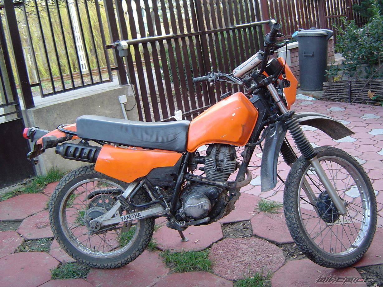 Photo 241370