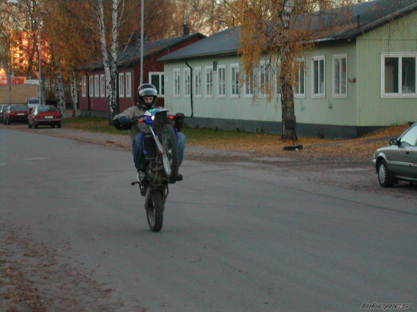 Photo 241378