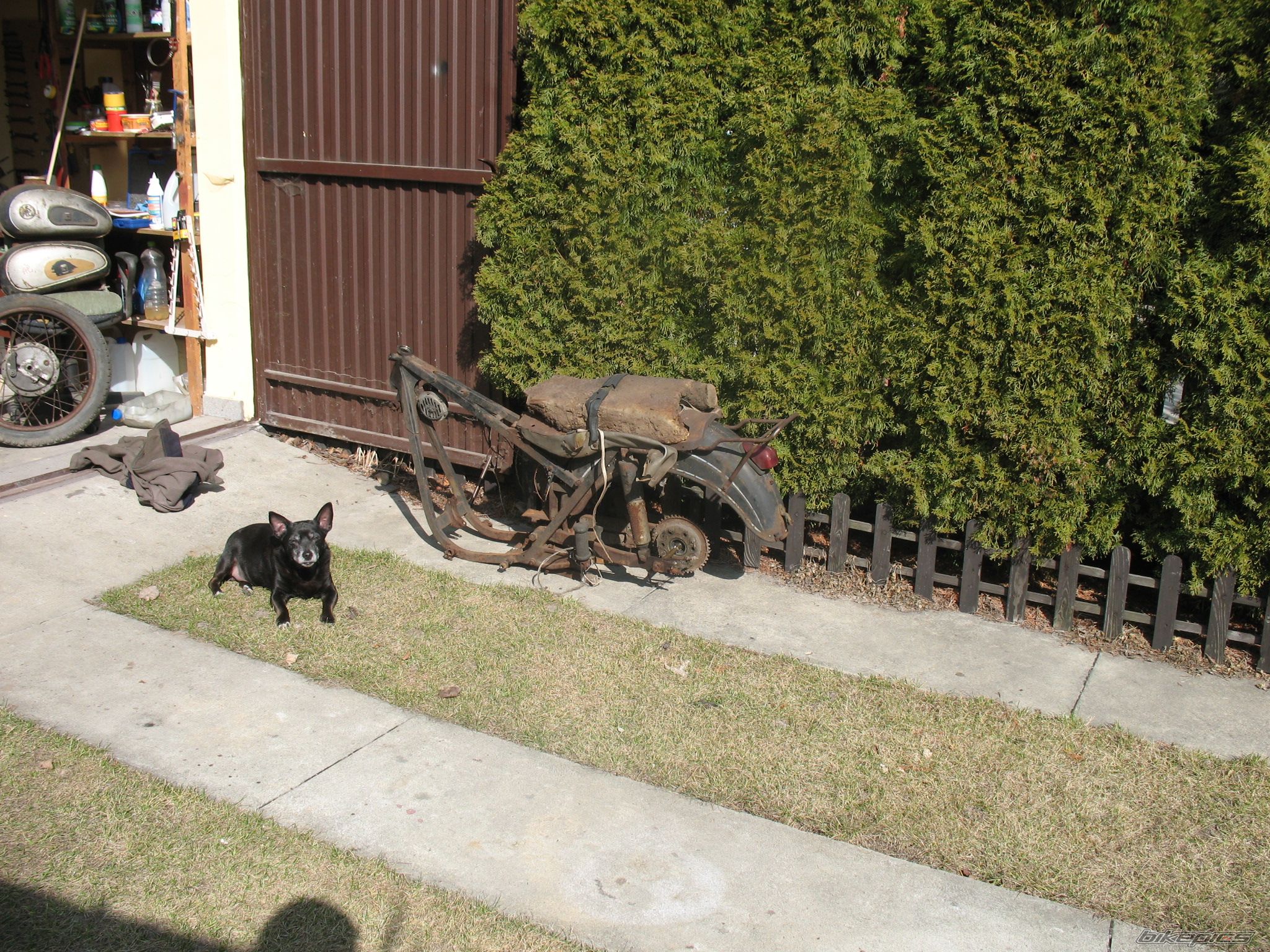 Photo 2413796