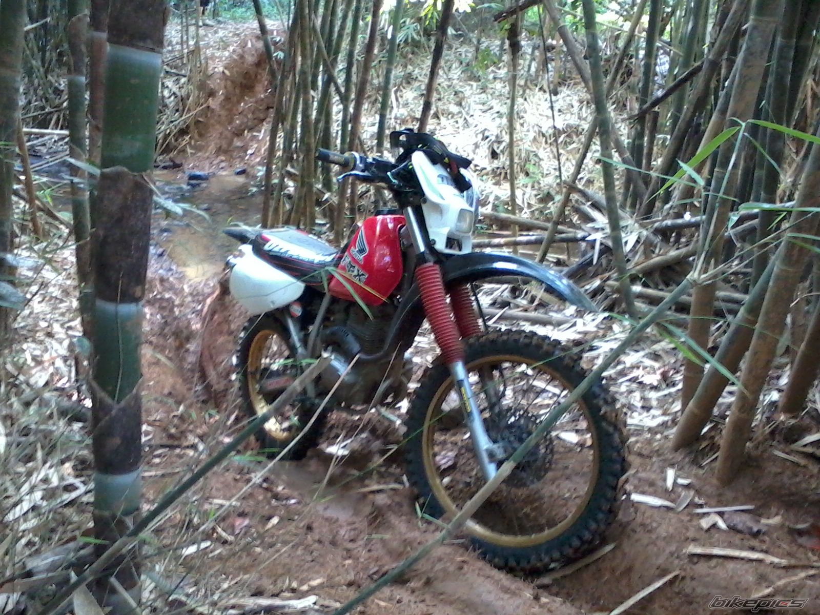Photo 2413907