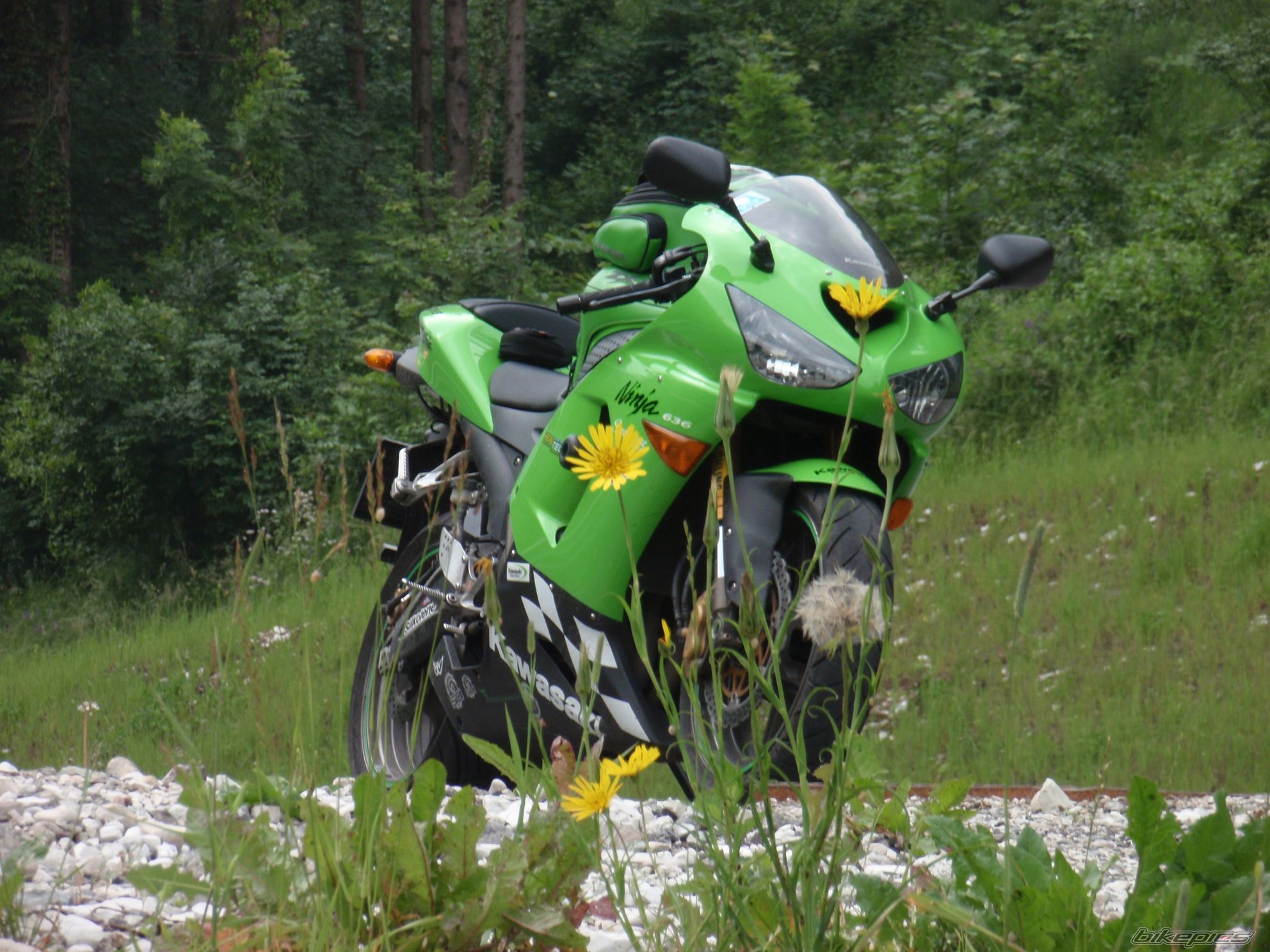 Photo 2413949
