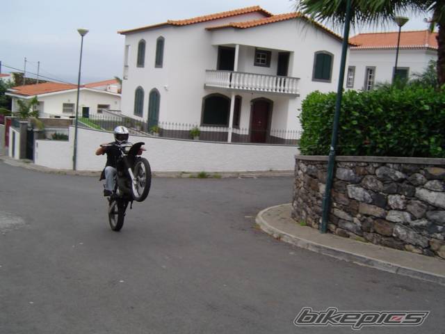 Photo 241425