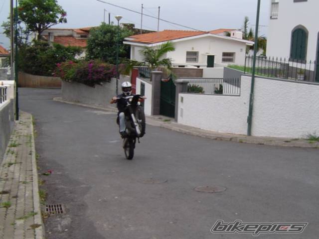 Photo 241426