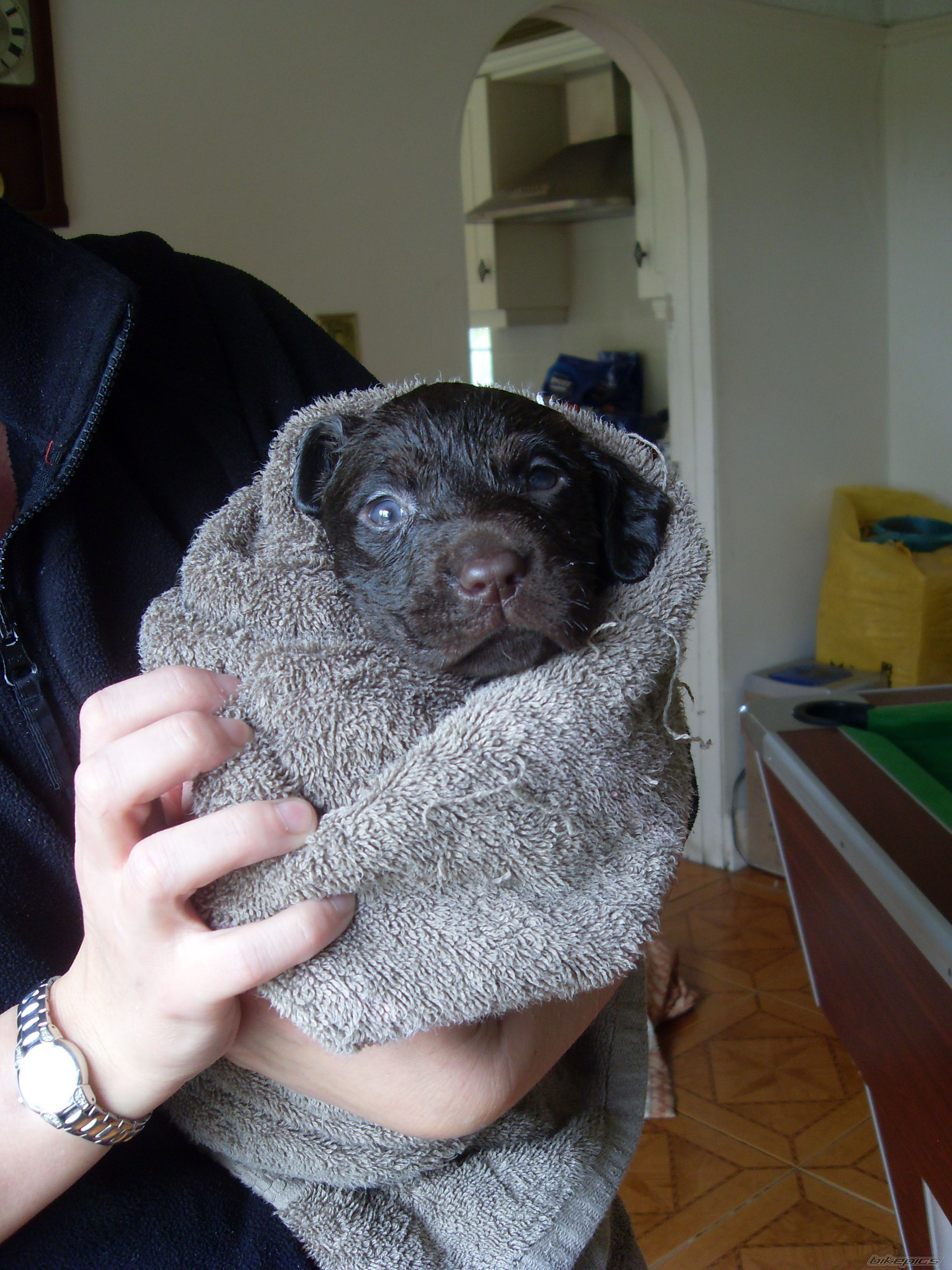 Photo 2414264
