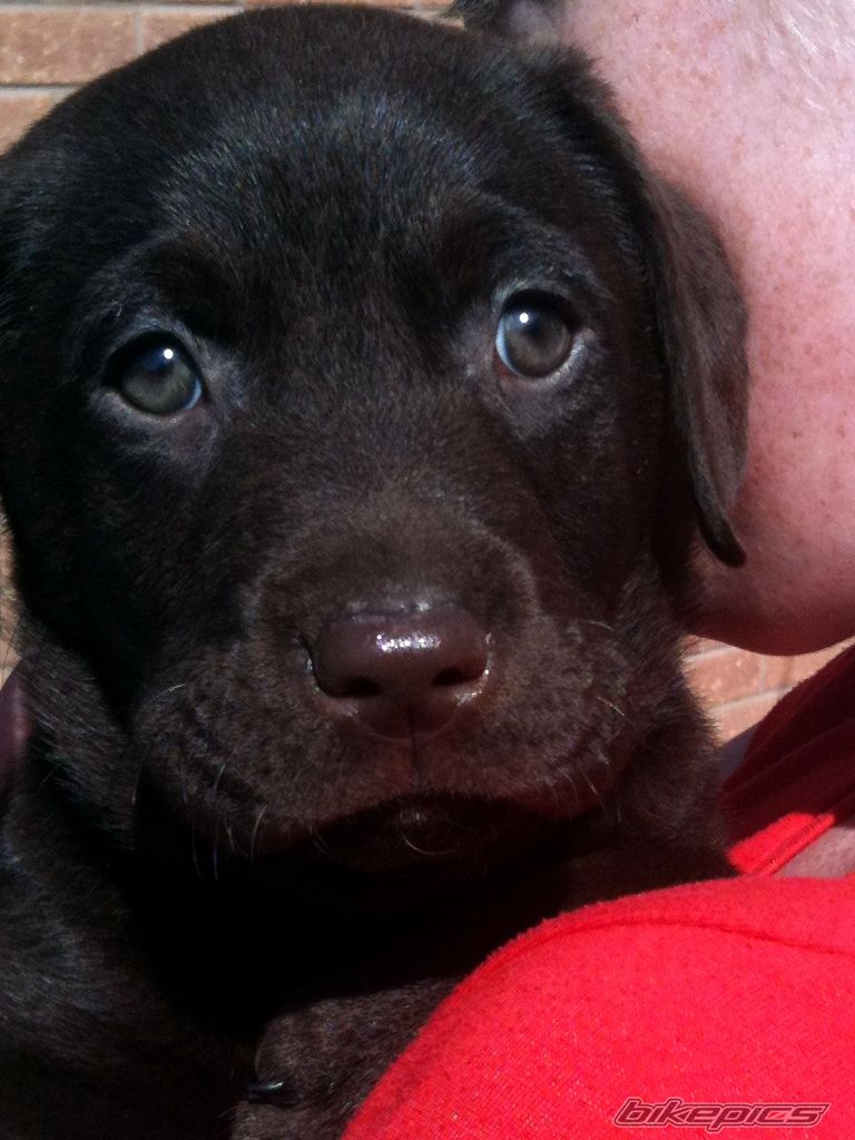 Photo 2414265