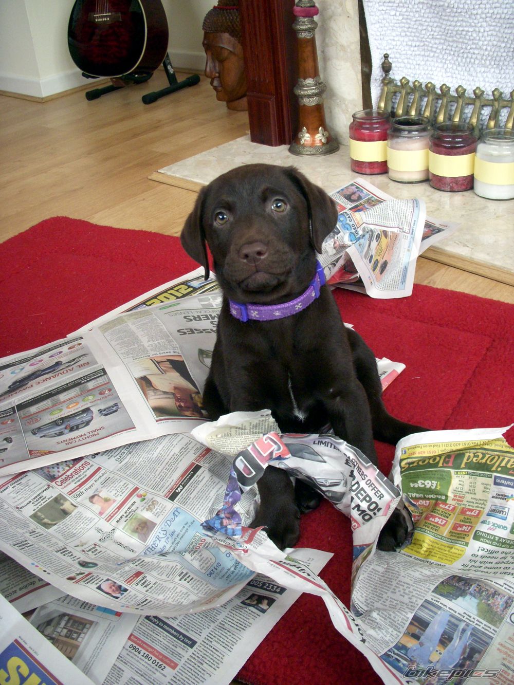 Photo 2414269