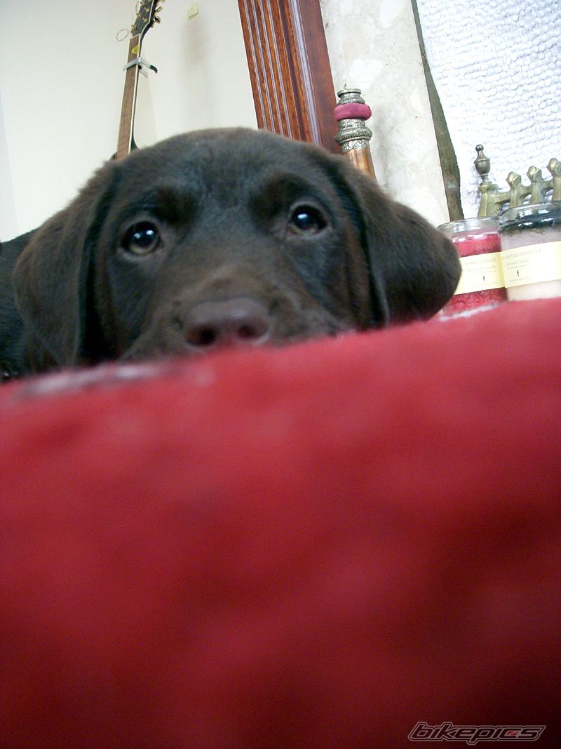 Photo 2414270