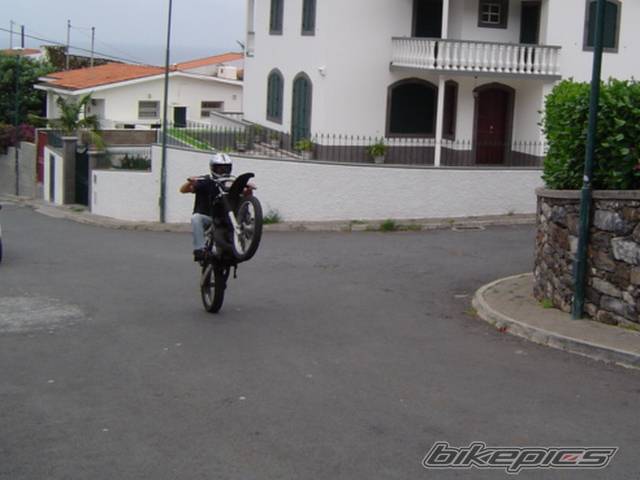 Photo 241428