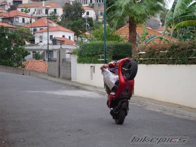 Photo 241431