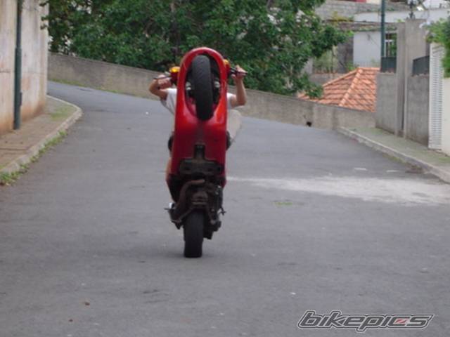 Photo 241432