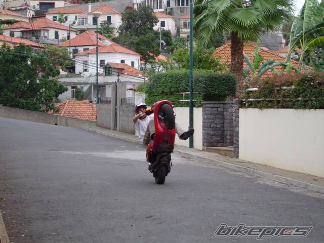 Photo 241433