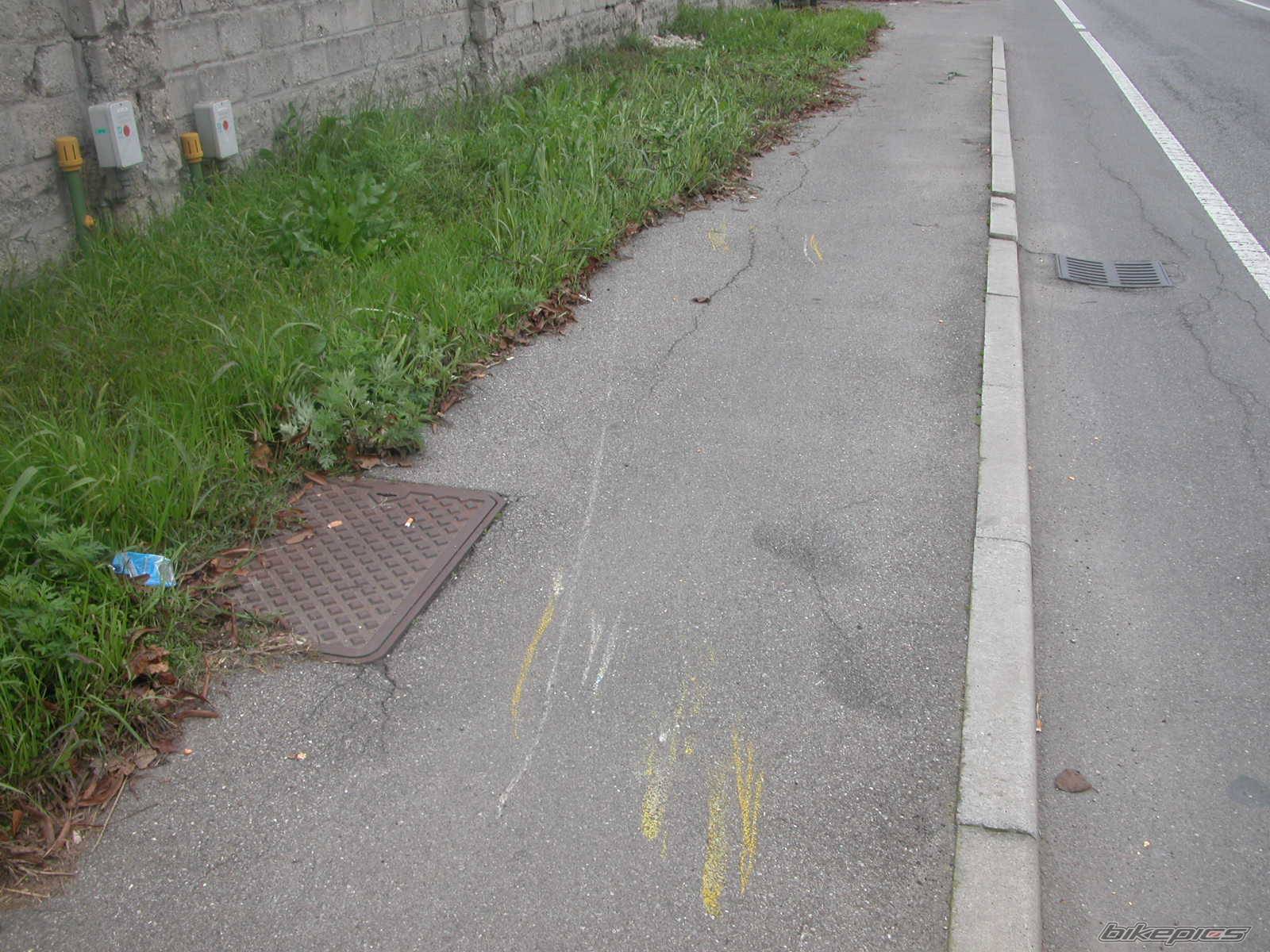 Photo 241436