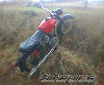 Bike Photo 241478